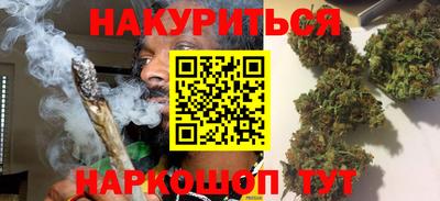 a pvp Гатчина