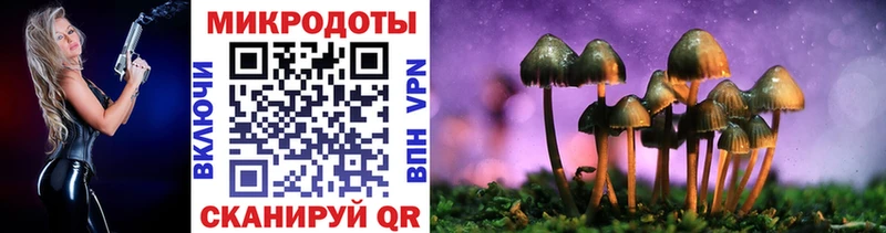 где найти   Нижневартовск  Псилоцибиновые грибы прущие грибы 
