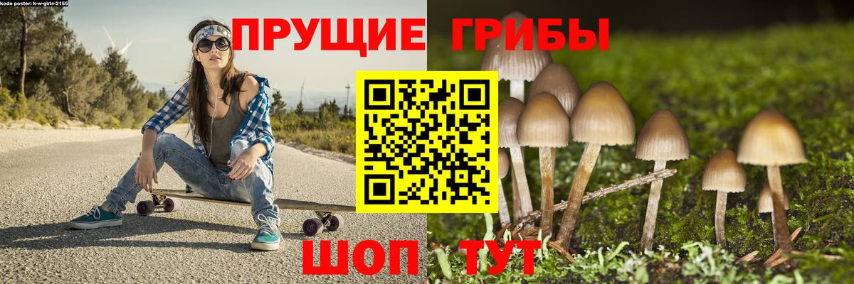 Нижневартовск  купить  сайты  Вход с VPN  Псилоцибиновые грибы Psilocybine cubensis 